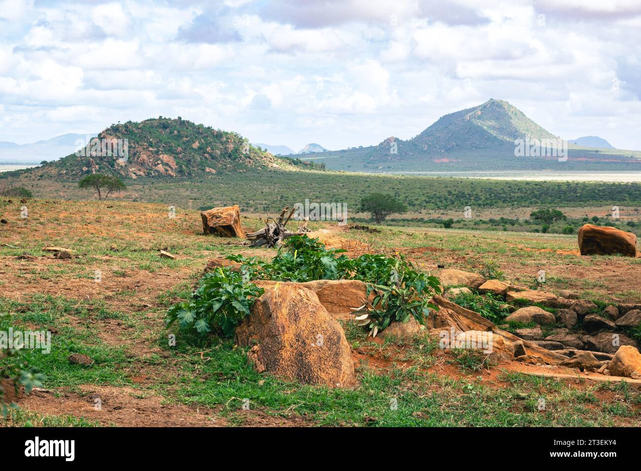 Une vue panoramique d'un point d'eau dans les paysages de prairies de savane du parc national de Tsavo East, au Kenya Banque D'Images