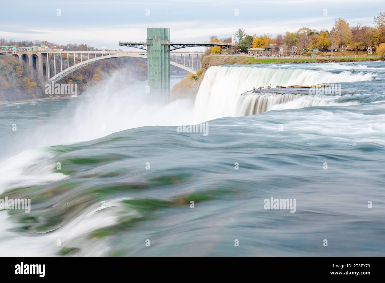 Cascade de chutes d'eau d'American Falls avec des oies près de la tour d'observation des chutes du Niagara et du pont international Rainbow, vue depuis l'île Luna Banque D'Images