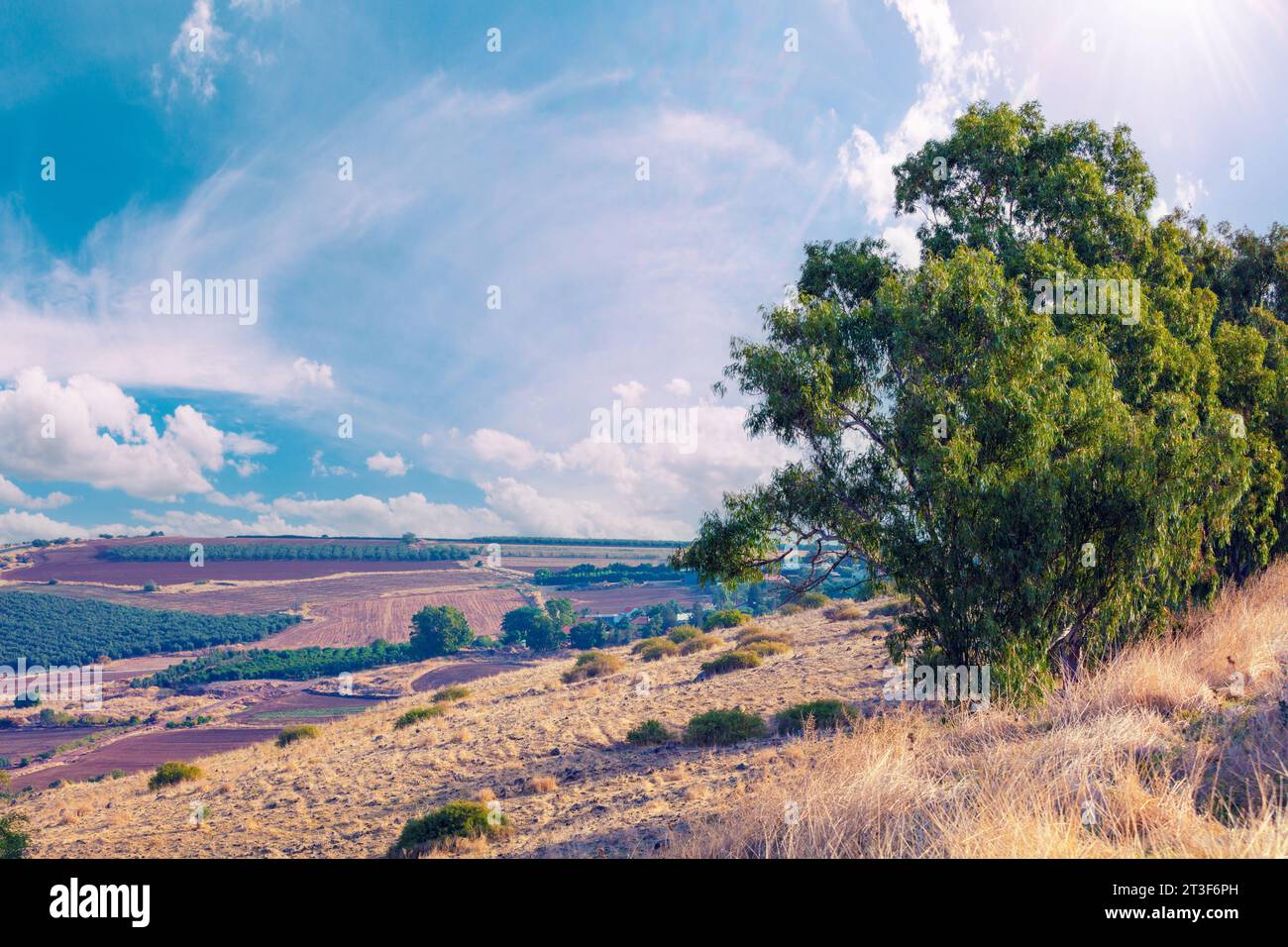 Vue aérienne de la côte de la mer de Galilée, de Tibériade, Israël Banque D'Images