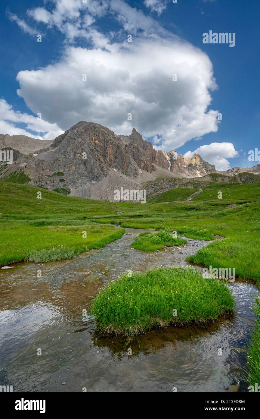 France, Savoie, massif du Cerces, Valloires, randonnée vers le lac du Cerces, le ruisseau du Cerces et la pointe du Cerces Banque D'Images