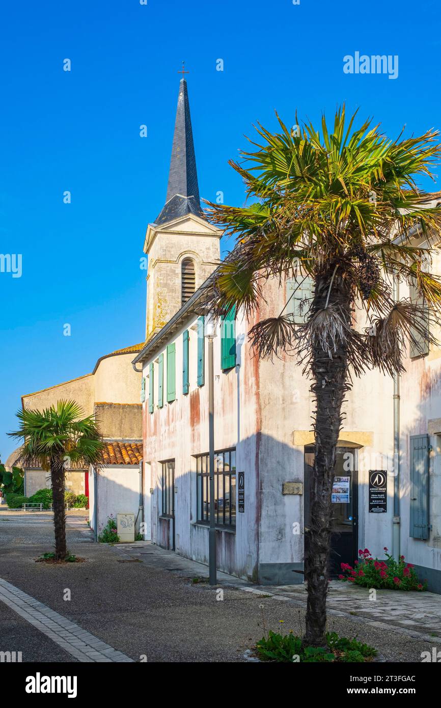 France, Charente Maritime, Ile de Ré, Saint Clement des baleines, église Saint Clément Banque D'Images