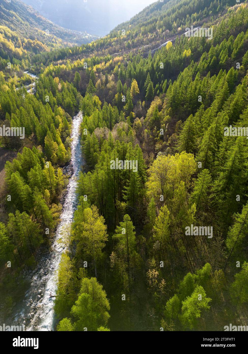 France, Hautes-Alpes, Parc National des Ecrins, Vallouise, Vallée de l'onde, vue sur la rivière onde et la forêt de mélèzes (vue aérienne) Banque D'Images