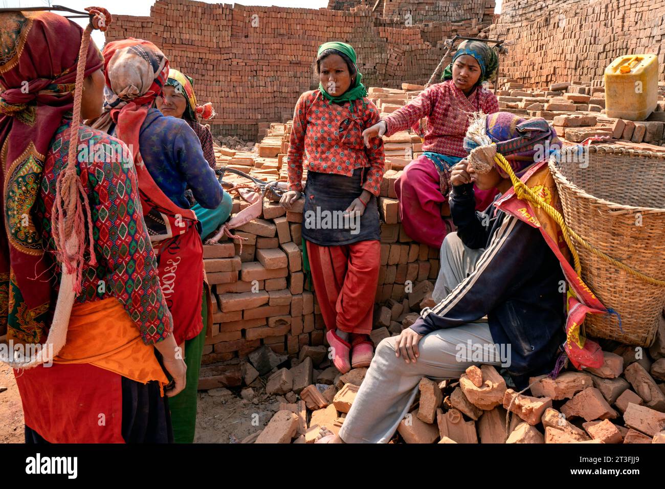 Népal, vallée de Katmandou, briqueteries près de Bhaktapur, briques sèches emportées au four Banque D'Images