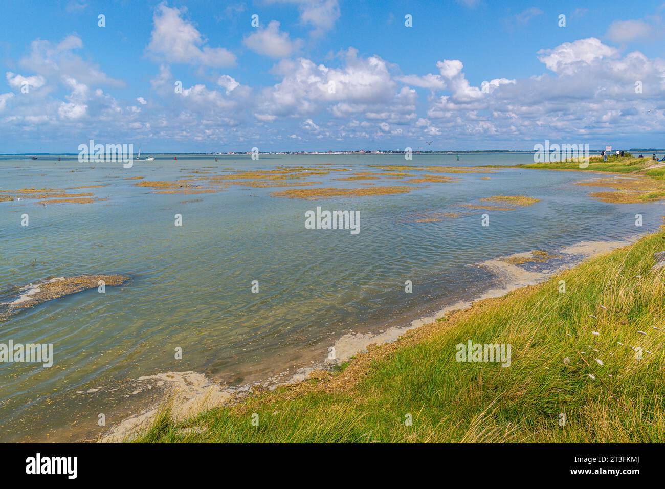 France, somme, Baie de somme, Saint-Valery-sur-somme, le Cap Hornu, marée haute dans la Baie de somme - coefficient 104, l'eau envahit l'estran, les bateaux profitent du fort tirant d'eau dans le chenal Banque D'Images