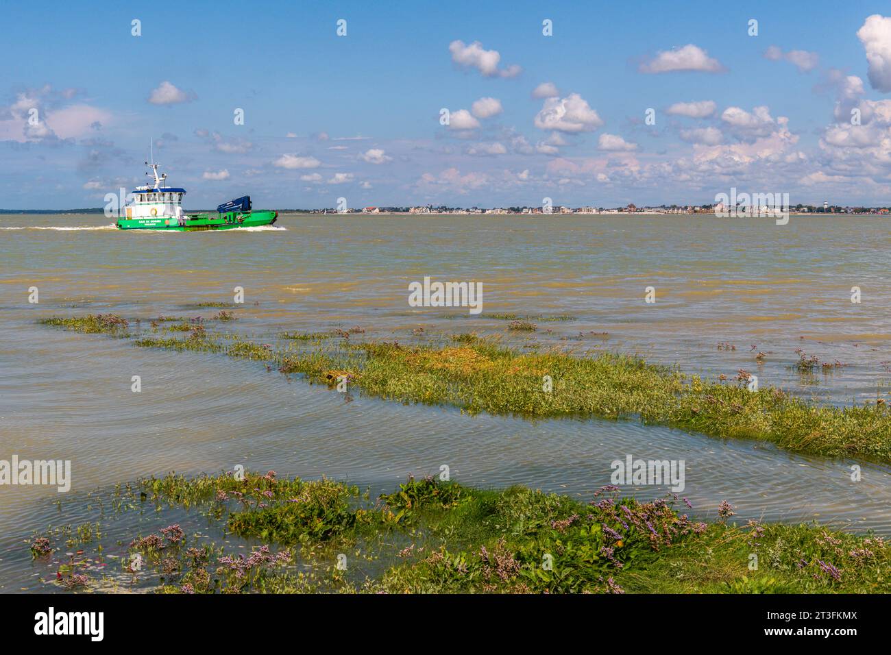 France, somme, Baie de somme, Saint-Valery-sur-somme, le Cap Hornu, marée haute dans la Baie de somme - coefficient 104, l'eau envahit l'estran, les bateaux profitent du fort tirant d'eau dans le chenal Banque D'Images