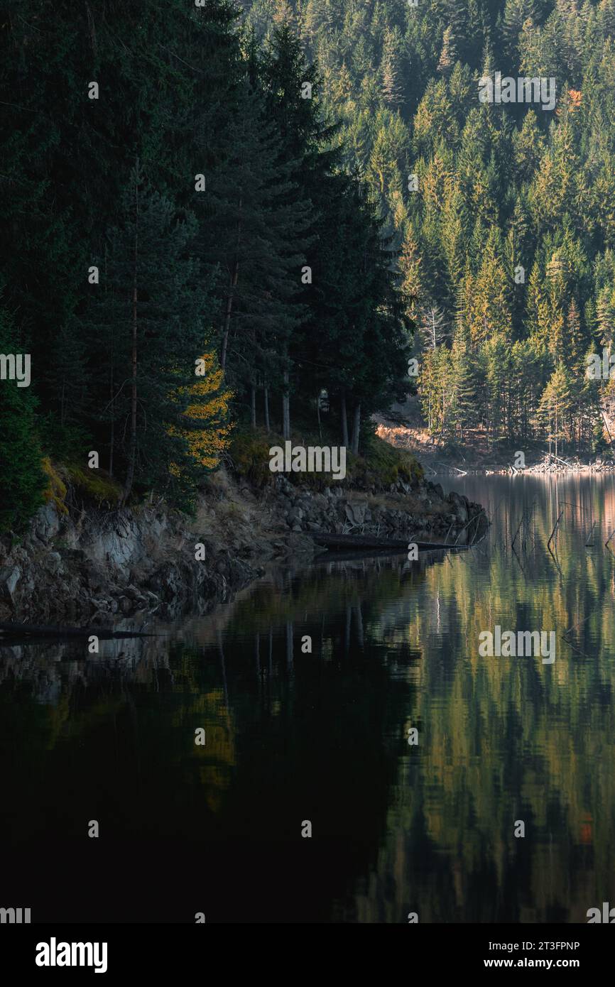 Beau paysage d'automne dans les montagnes des rhodopes avec grand lac et reflets à la surface. Banque D'Images