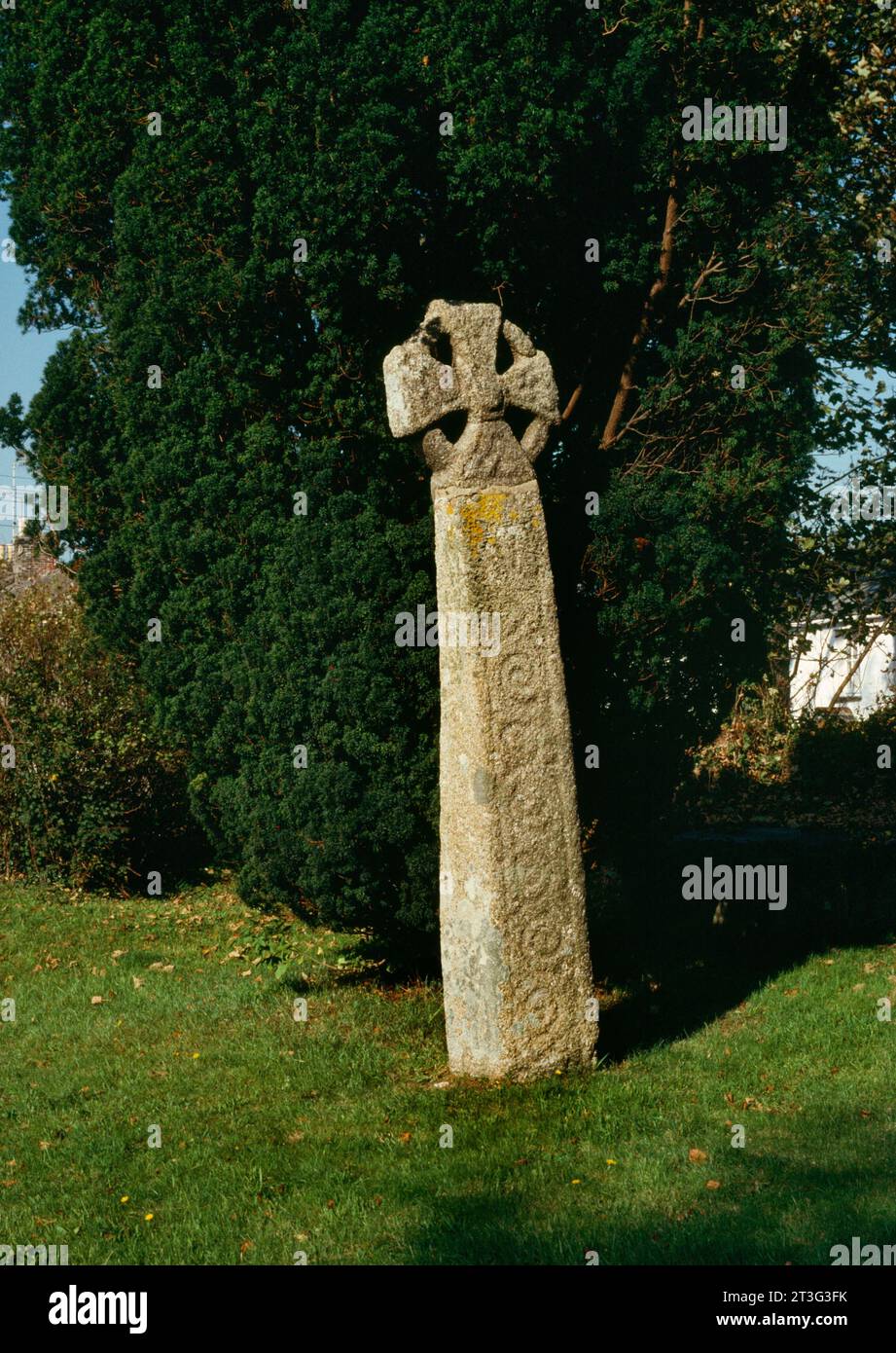 E face d'une croix à tête de roue de Saxon tardif (C10ème) W de l'église de Lanivet, Cornouailles, Angleterre, Royaume-Uni, montrant des travaux de défilement sur le puits de granit. Banque D'Images