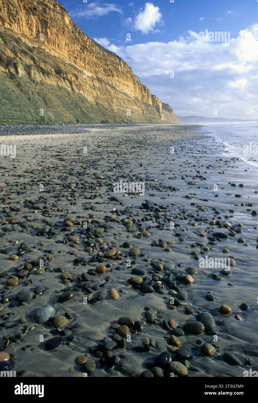 Beach falaises, réserve d'État de Torrey Pines, Californie Banque D'Images