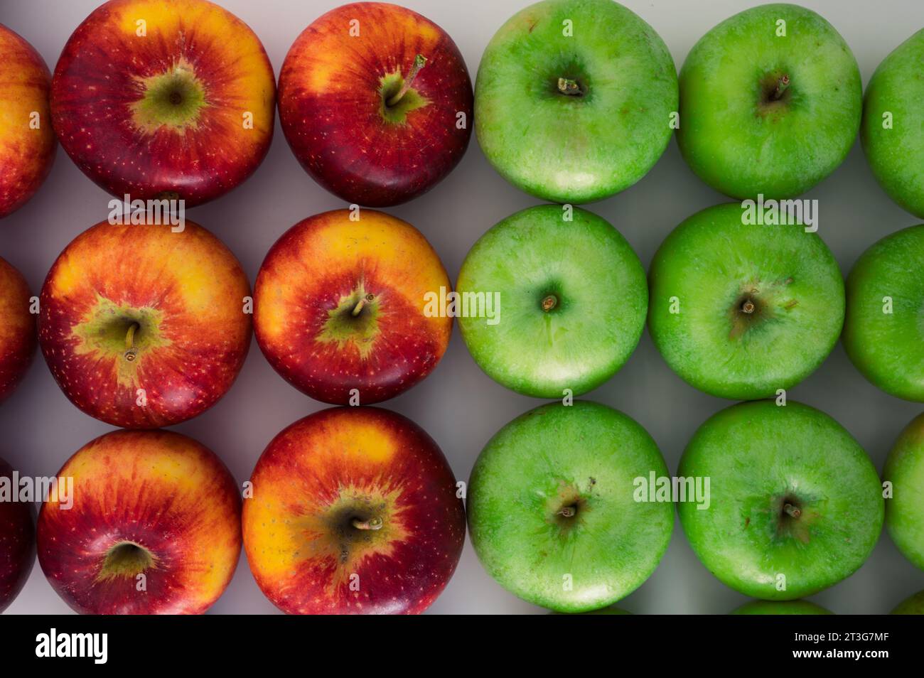Groupe de motifs de pommes vertes et rouges mélangées. Fruits frais biologiques et image de la récolte de pommes d'automne Banque D'Images
