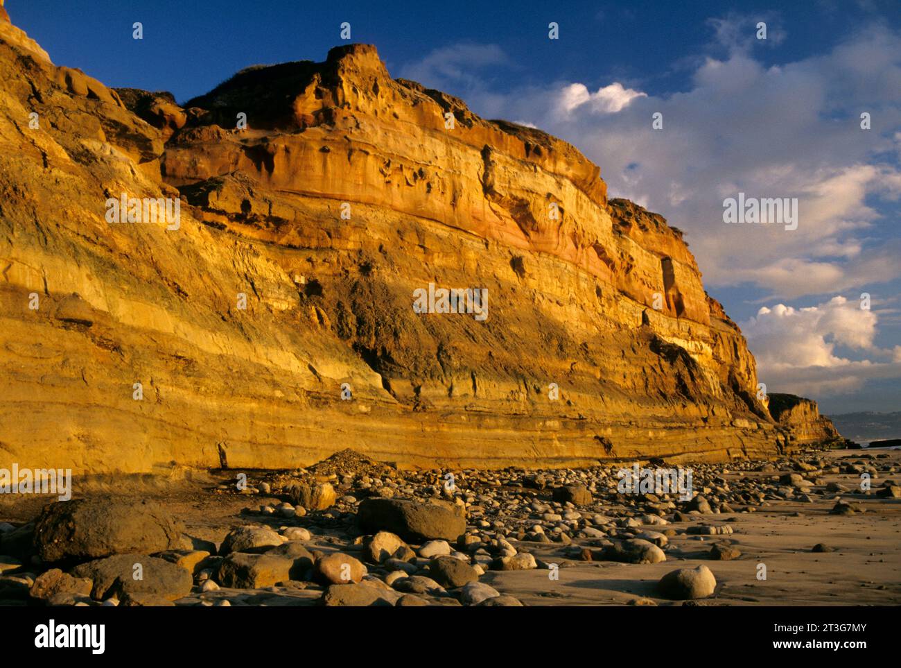 Beach falaises, réserve d'État de Torrey Pines, Californie Banque D'Images