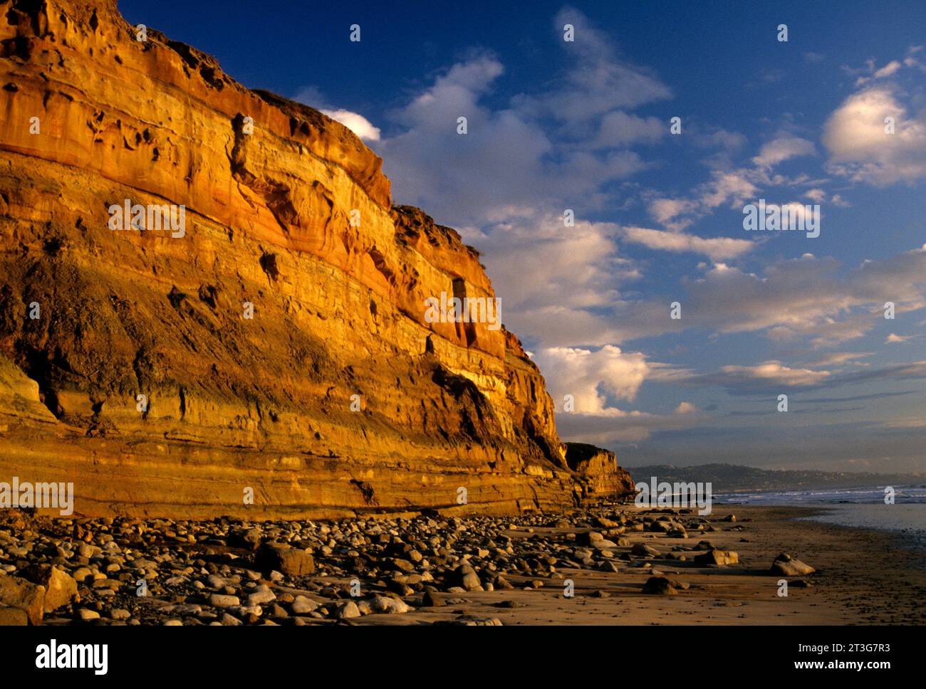 Beach falaises, réserve d'État de Torrey Pines, Californie Banque D'Images