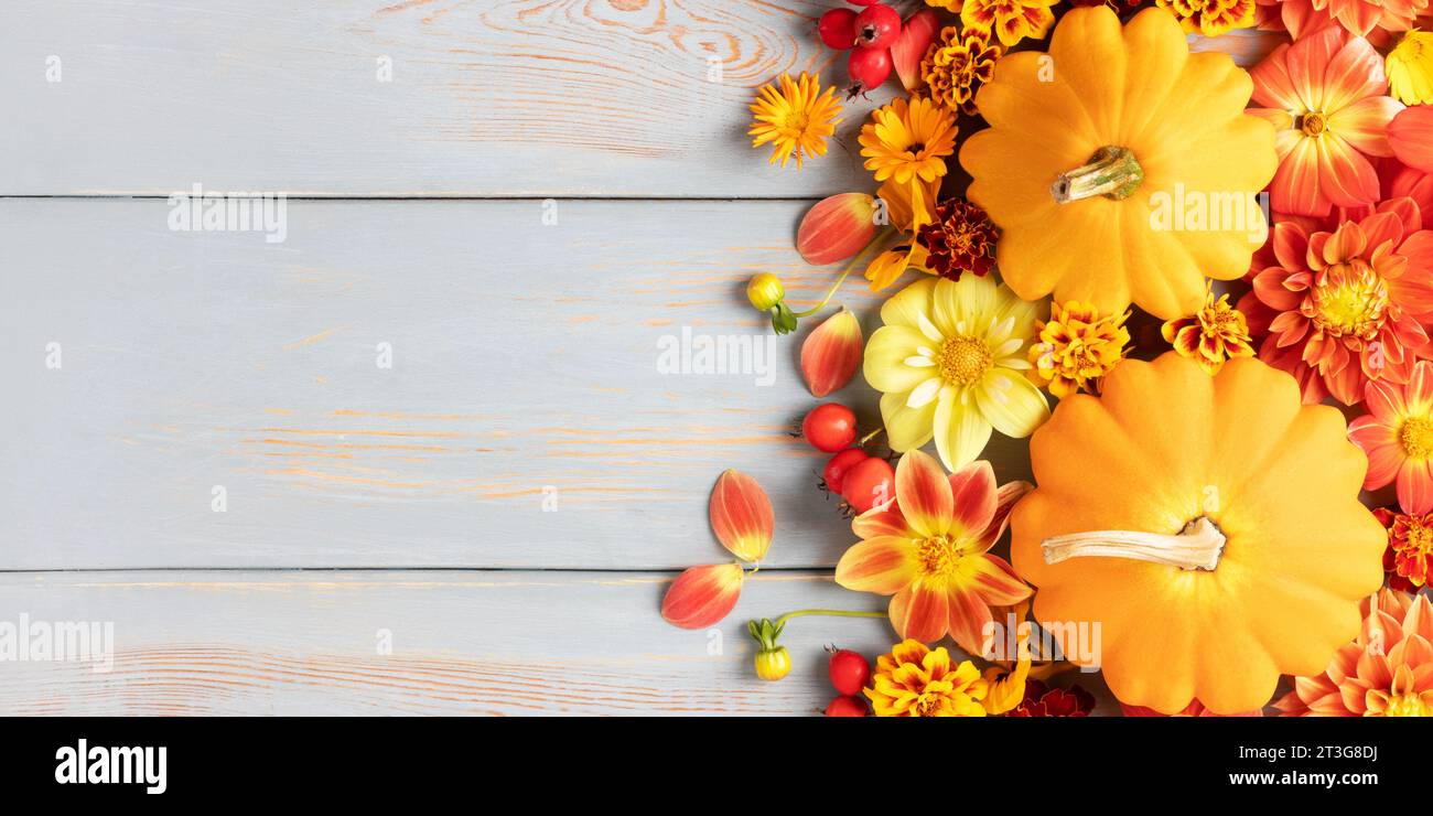 Composition de citrouilles oranges, de fleurs de dahlia, de soucis et de baies d'aubépine sur une table en bois bleu avec une place pour le texte. Carte de voeux. Nature con Banque D'Images