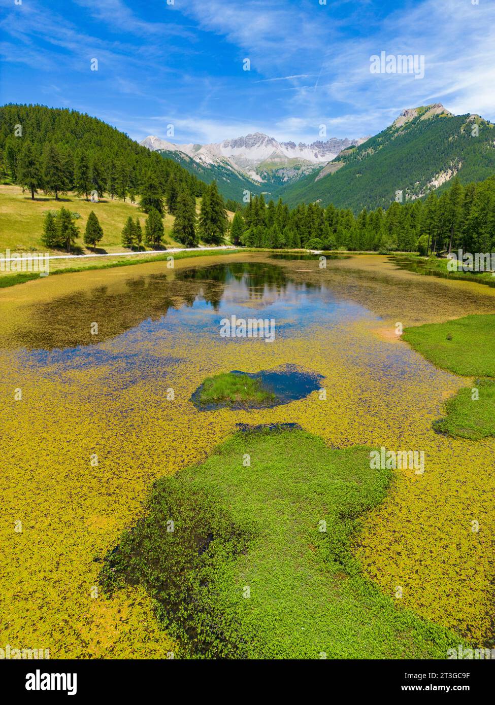 France, Hautes-Alpes, Parc naturel régional du Queyras, Lac d'Arvieux roue entouré d'une forêt de mélèzes (Larix decidua) (vue aérienne) Banque D'Images