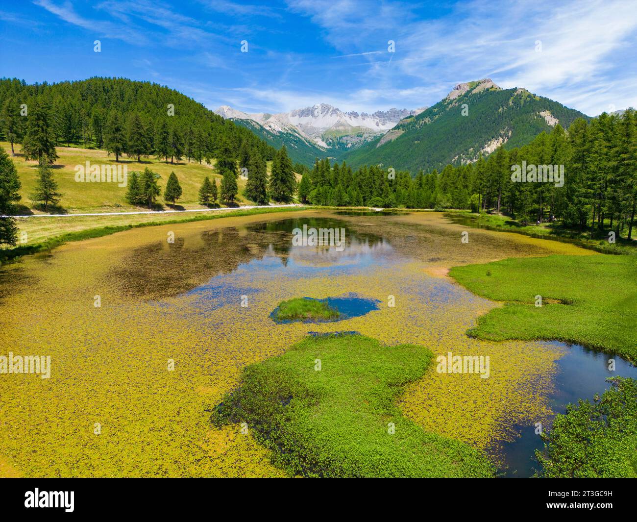 France, Hautes-Alpes, Parc naturel régional du Queyras, Lac d'Arvieux roue entouré d'une forêt de mélèzes (Larix decidua) (vue aérienne) Banque D'Images
