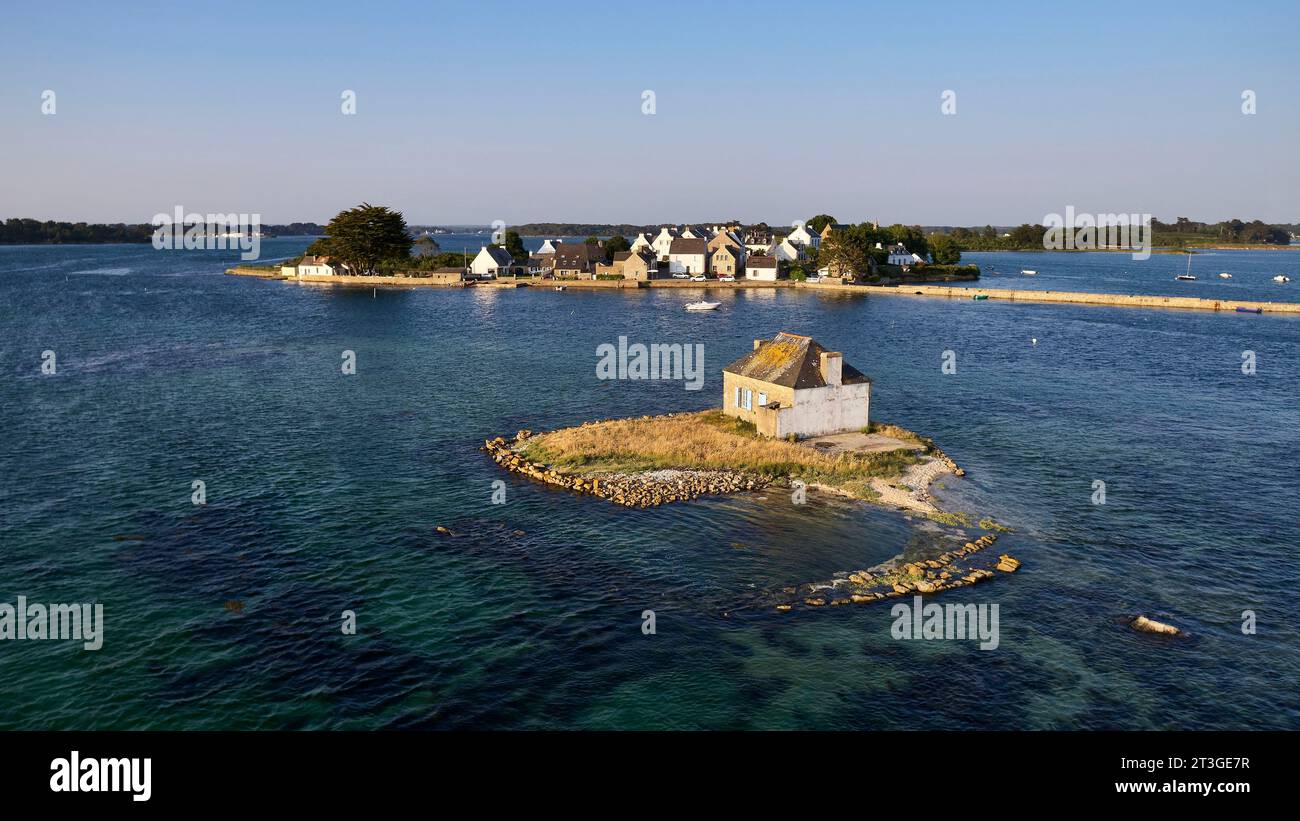 France, Morbihan, l'Etel, Belz, l'îlot de Nichtarguer et sa maison de pêcheur, avec l'île de Saint-Cado en arrière-plan (vue aérienne)BelzBelz Banque D'Images