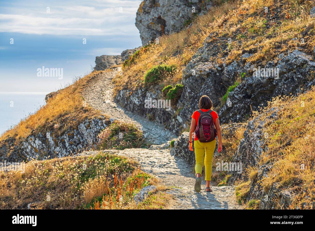 France, Manche, Cotentin, Barneville-Carteret, Cap de Carteret, randonnée sur le sentier GR 223 Banque D'Images