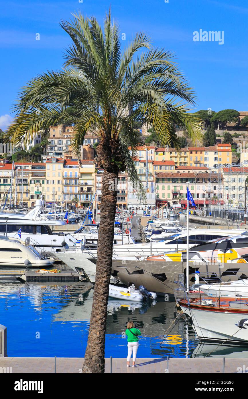 France, Alpes Maritimes, Cannes, vue sur le Vieux Port et le quartier du Suquet Banque D'Images