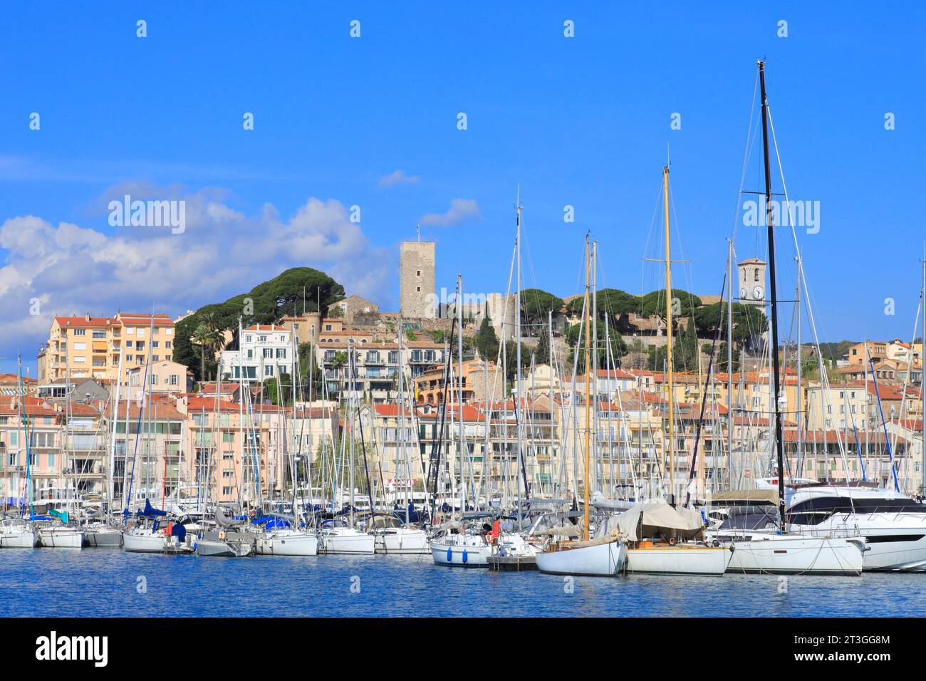 France, Alpes Maritimes, Cannes, vue sur le Vieux Port et le quartier du Suquet avec l'église notre Dame d'espérance et le Château de la Castre Banque D'Images