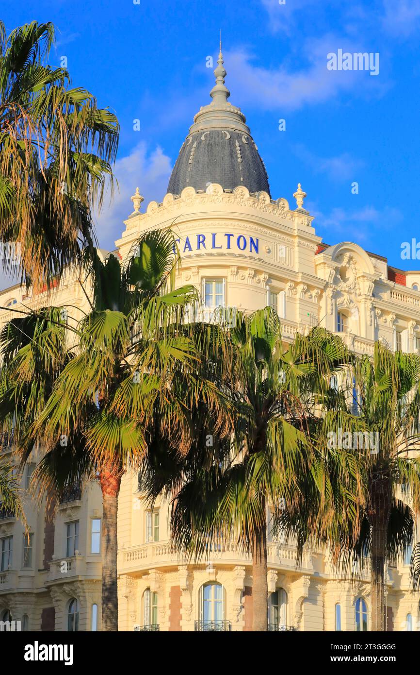 France, Alpes Maritimes, Cannes, Croisette, Hôtel Carlton (monument historique construit en 1913 et classé au patrimoine du 20e siècle), vue extérieure avec sa rotonde Banque D'Images