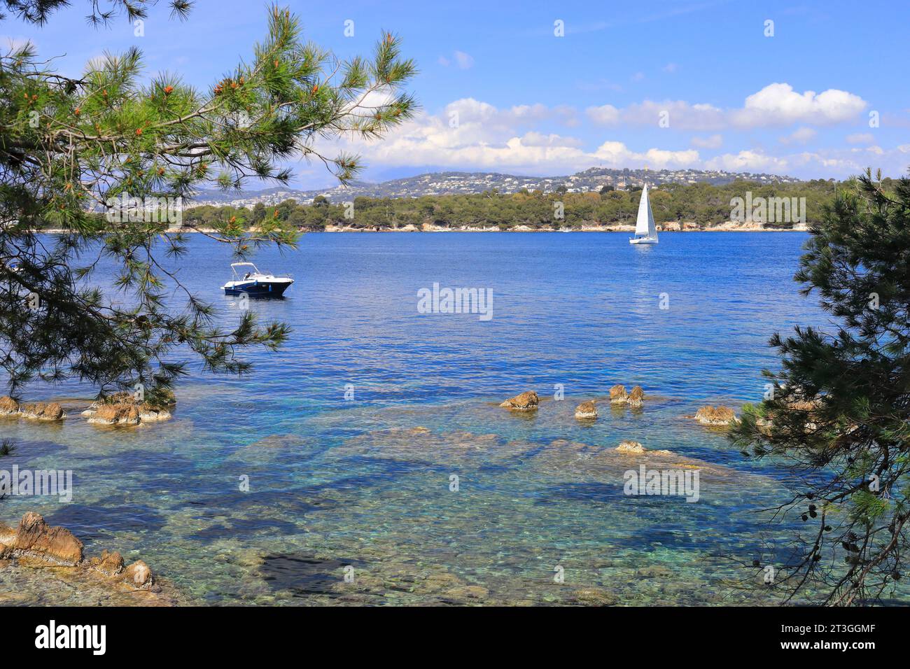 France, Alpes Maritimes, Cannes, Iles de Lérins, Ile Sainte Marguerite vue de l'Ile Saint Honorat Banque D'Images