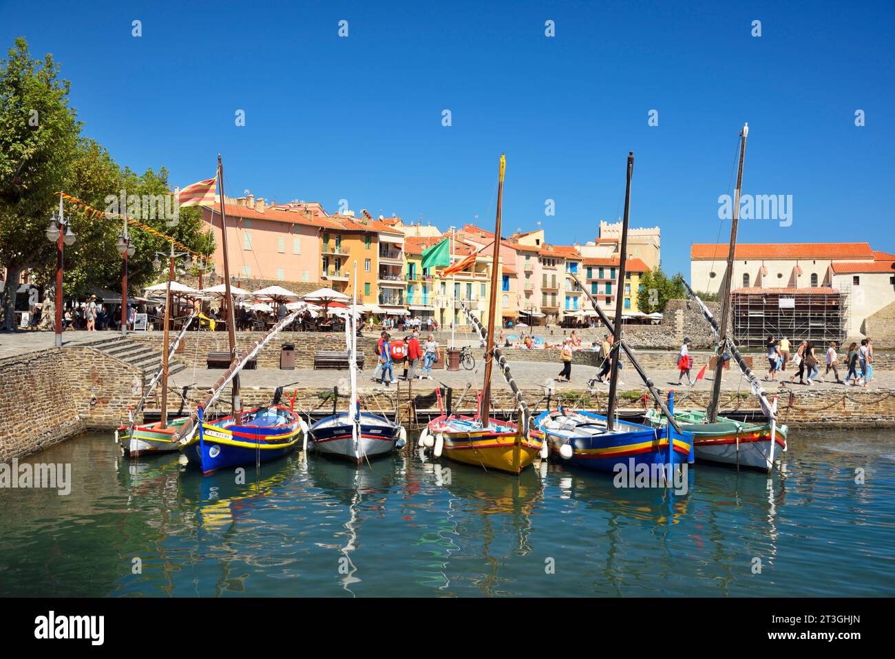 France, Pyrénées Orientales, Côte Vermeille, Collioure, vieux port et centre ville de Collioure Banque D'Images