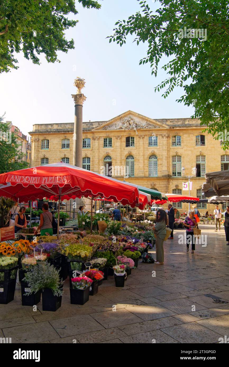 France, Bouches du Rhône, Aix en Provence, place de l'Hôtel de ville et Fontaine des tanneurs, marché aux fleurs Banque D'Images