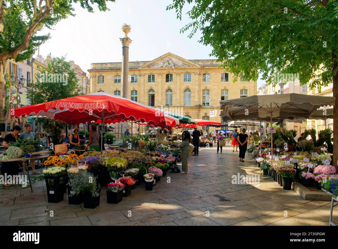 France, Bouches du Rhône, Aix en Provence, place de l'Hôtel de ville et Fontaine des tanneurs, marché aux fleurs Banque D'Images