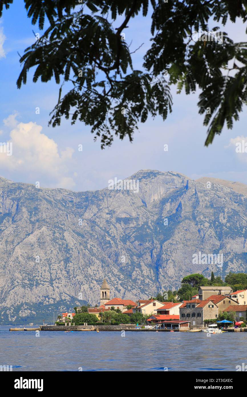 Monténégro, Baie de Kotor inscrite au patrimoine mondial de l'UNESCO, Donji Stoliv Banque D'Images