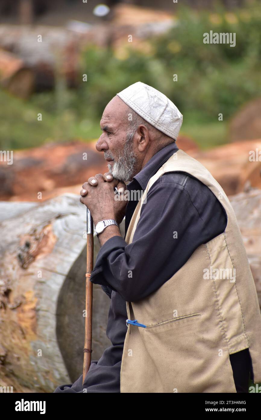 Au cœur de la beauté enchanteresse du Cachemire, un homme âgé trouve réconfort dans les murmures de la nature, ses mains berçant toute une vie de souvenirs.photo par Danish Showkat Banque D'Images