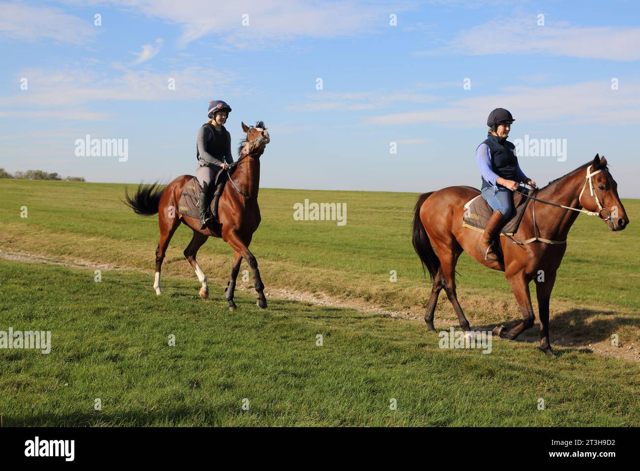 Équitation (Hack Ride) par Epsom Downs Racecourse Surrey Angleterre Banque D'Images