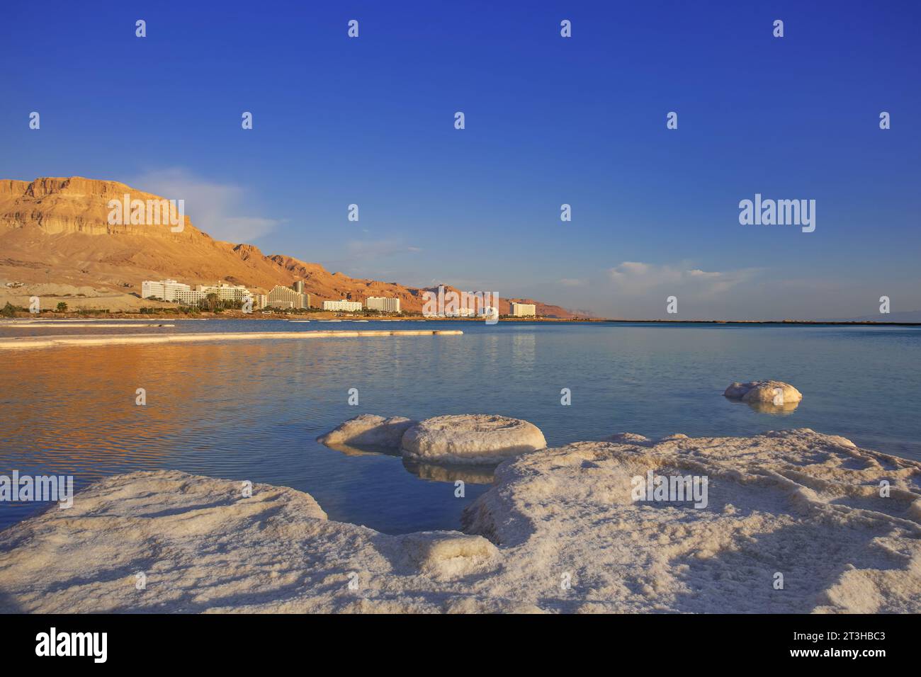 Dépôts de sel, paysage typique de la mer Morte, Israël. Banque D'Images
