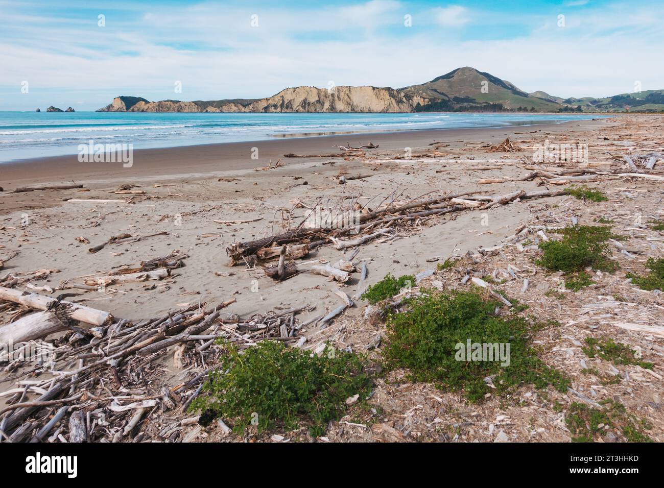 Une plage déserte de Tolaga Bay, sur la côte est de l'île du Nord de la Nouvelle-Zélande Banque D'Images
