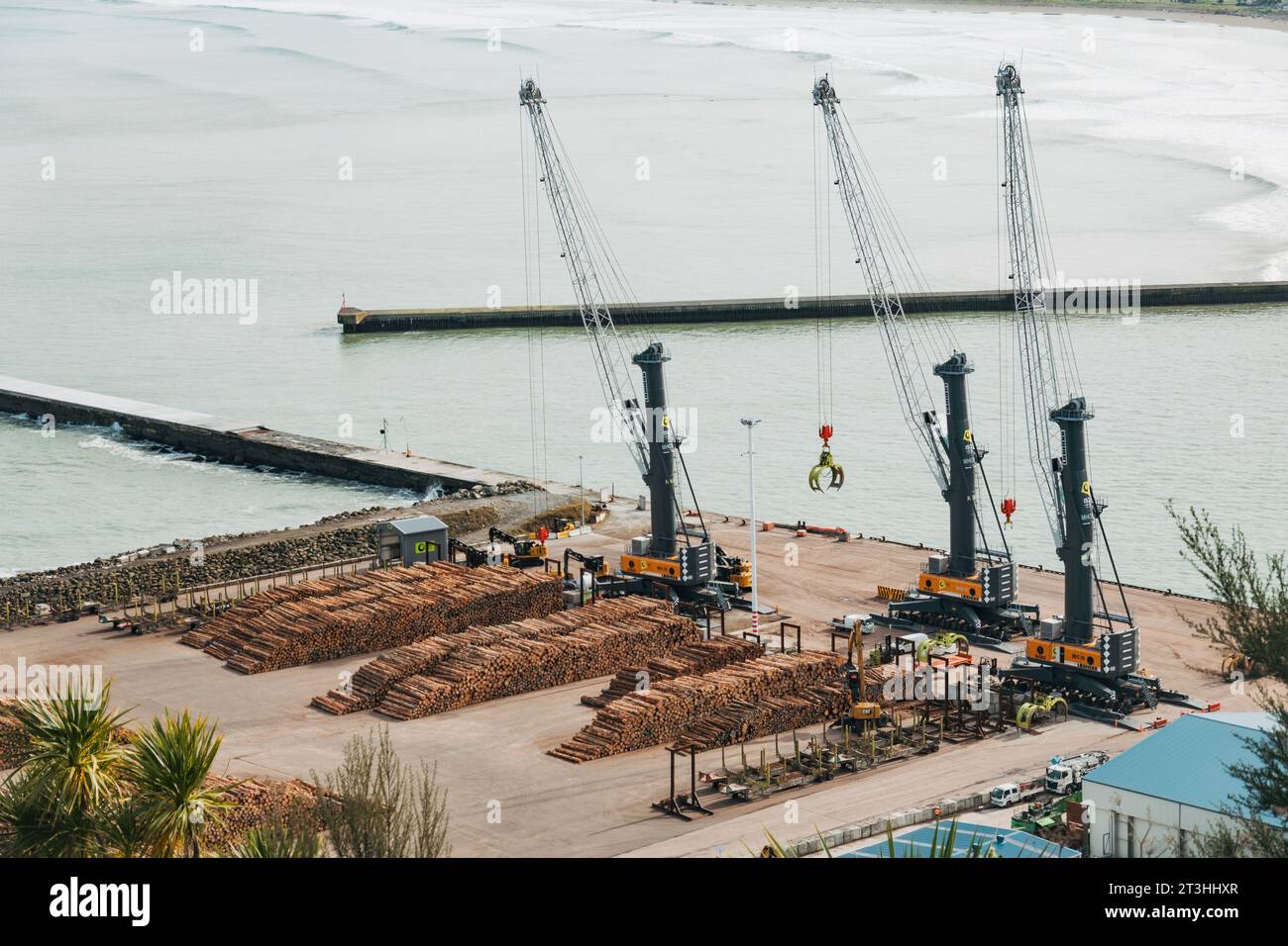 Des piles de grumes de bois attendent d'être expédiées à Eastland Port, Gisborne, Nouvelle-Zélande Banque D'Images