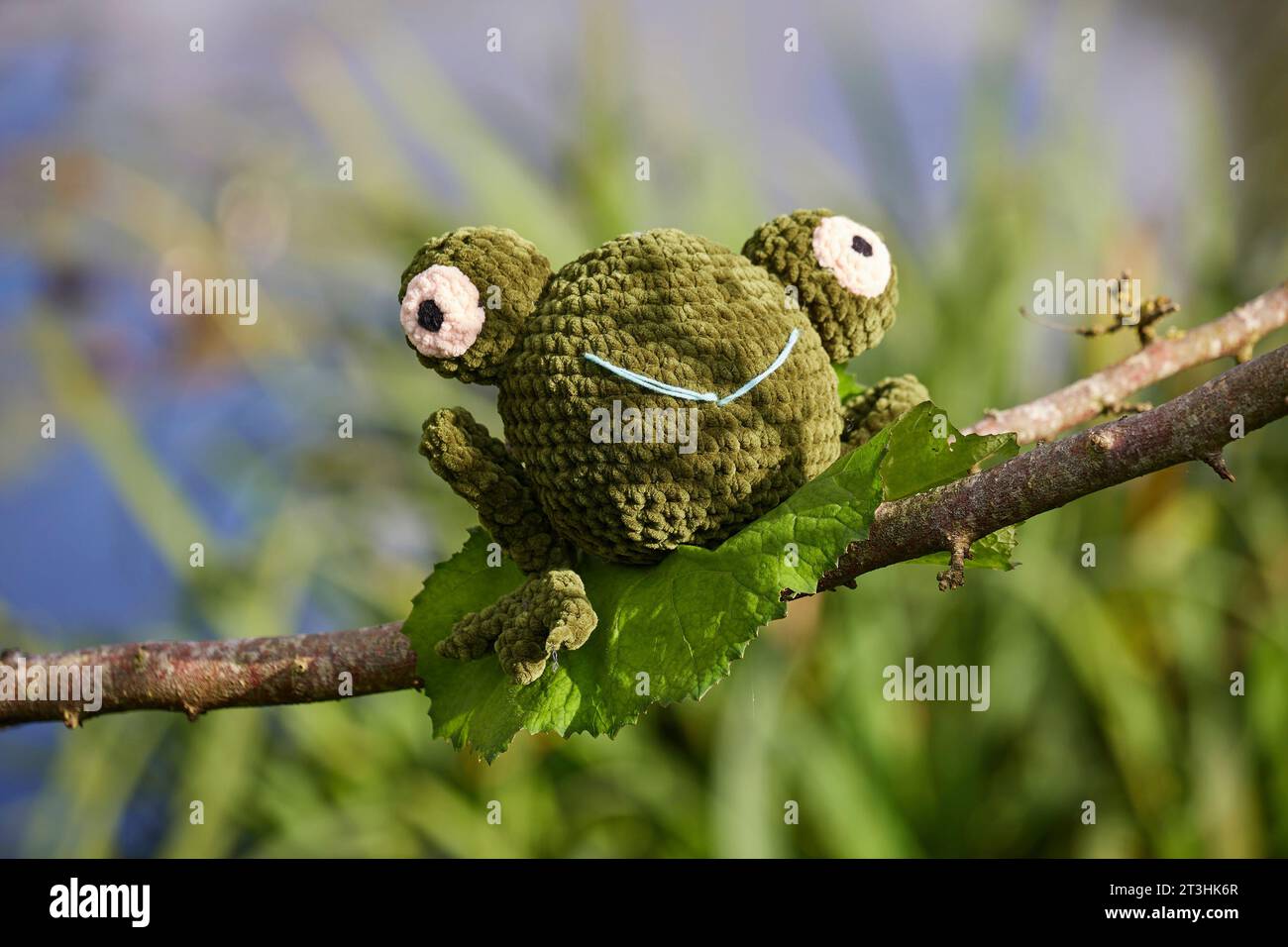 Jouet grenouille tricoté dans le jardin sur un arbre Banque D'Images