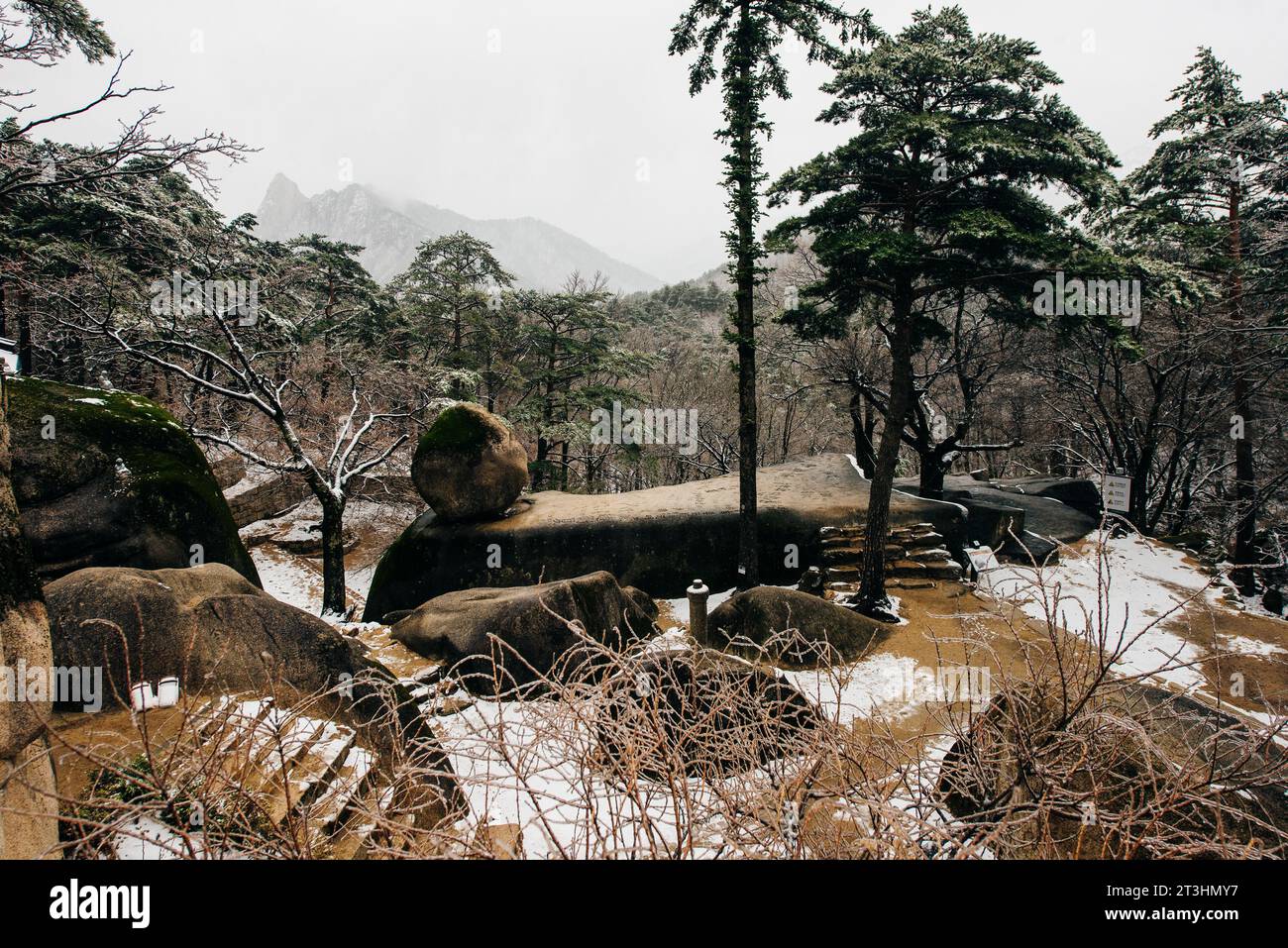 La vue du parc national de Seoraksan, Corée du Sud en hiver. . Photo de haute qualité Banque D'Images