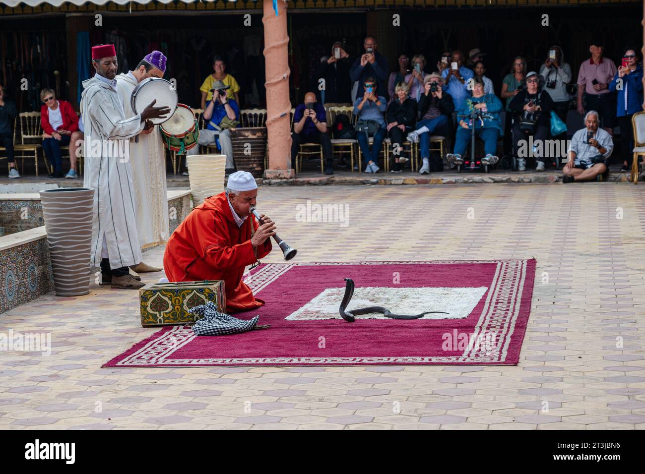 Agadir, Maroc — 26 mai 2023. Un charmeur de serpents marocain fait son travail. Banque D'Images