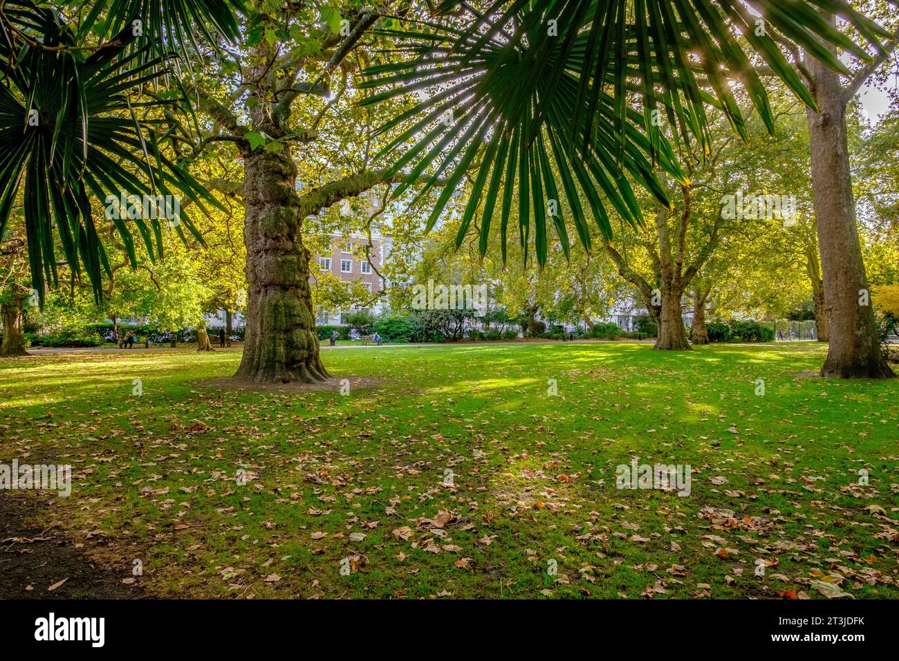 Lincoln's Inn Fields, London, UK Banque D'Images