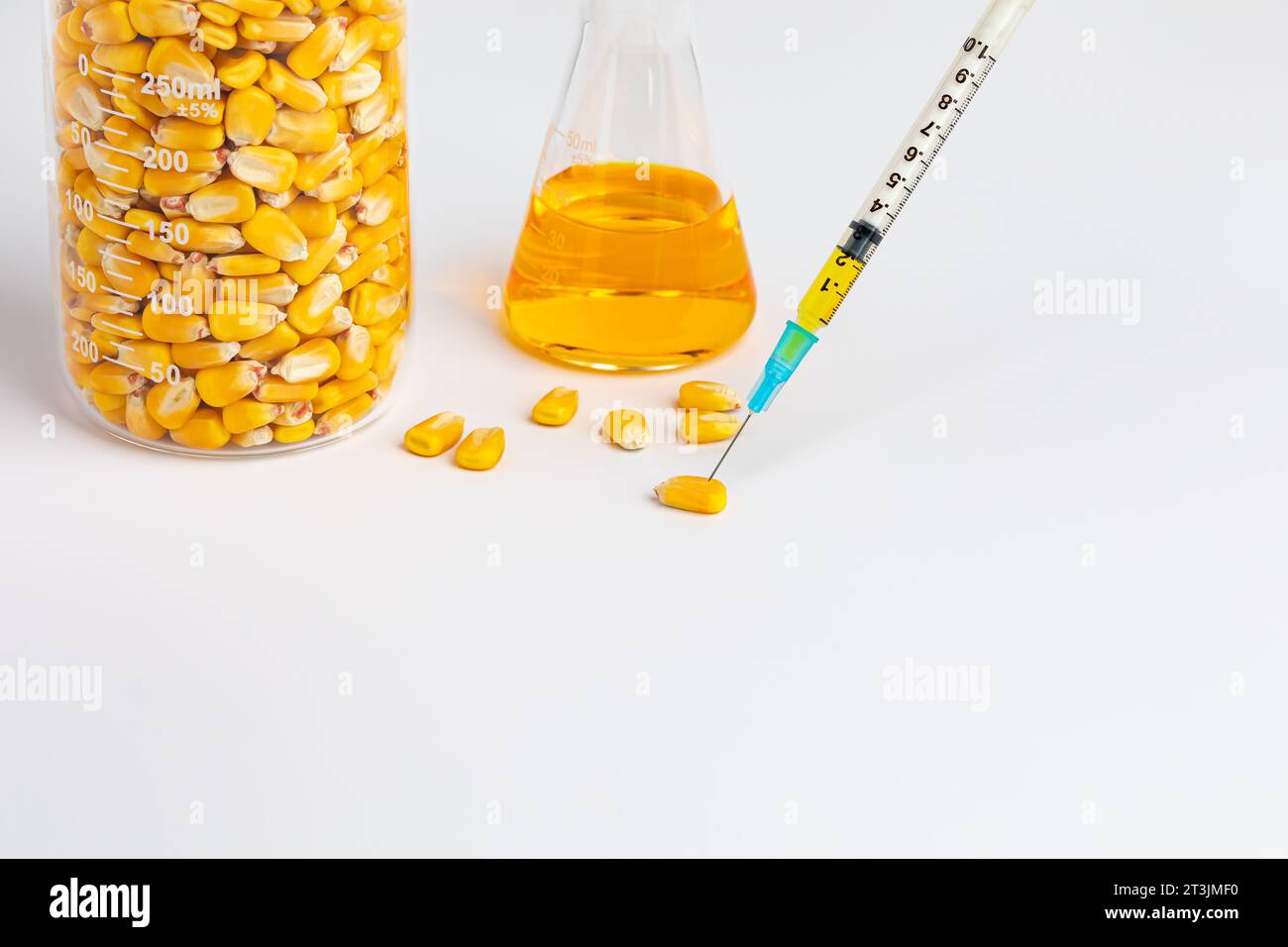 Grains de maïs avec seringue. Cultures génétiquement modifiées, résistant aux herbicides et aux insectes et concept de recherche agricole. Banque D'Images