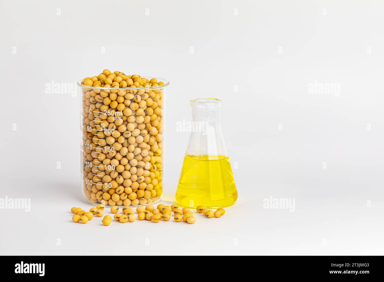 Soja avec bécher de laboratoire. Cultures génétiquement modifiées, huile de soja et concept de biodiesel. Banque D'Images
