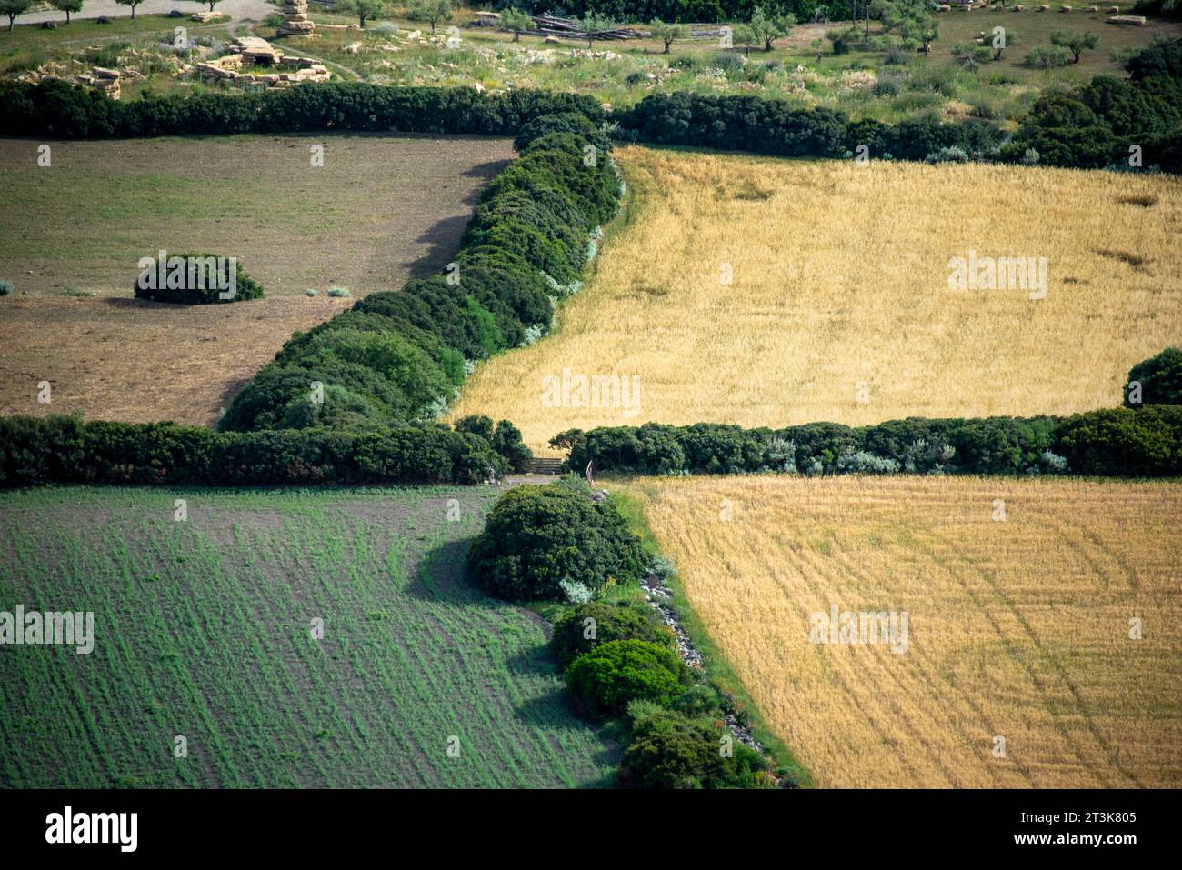 Champs agricoles en Sardaigne du Sud - Italie Banque D'Images