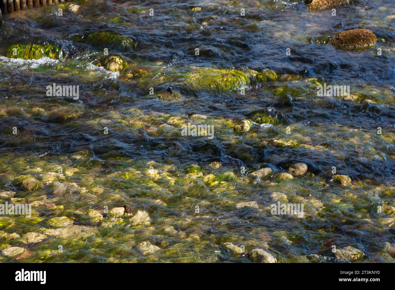 Cailloux immergés dans un ruisseau clair et peu profond avec des reflets de lumière bokeh Banque D'Images