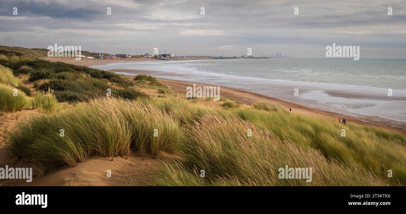 Dans les dunes de sable de Camber Sands sur la côte est du Sussex au sud-est de l'Angleterre Banque D'Images