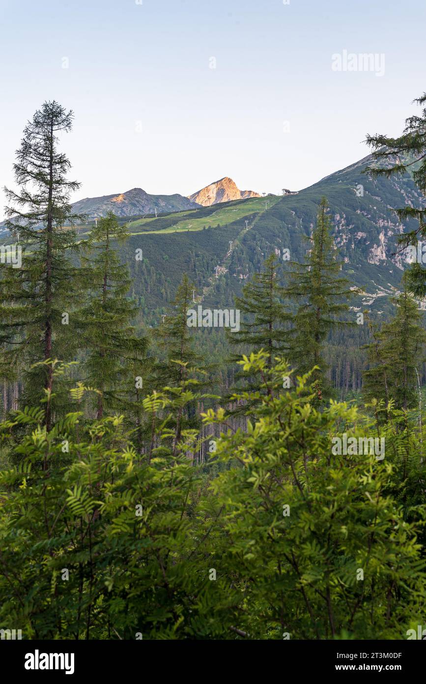 Pic de montagne Krivan du sentier de randonnée entre Strbske Pleso et Popradska leso dans les montagnes des Hautes Tatras en Slovaquie pendant la matinée d'été Banque D'Images