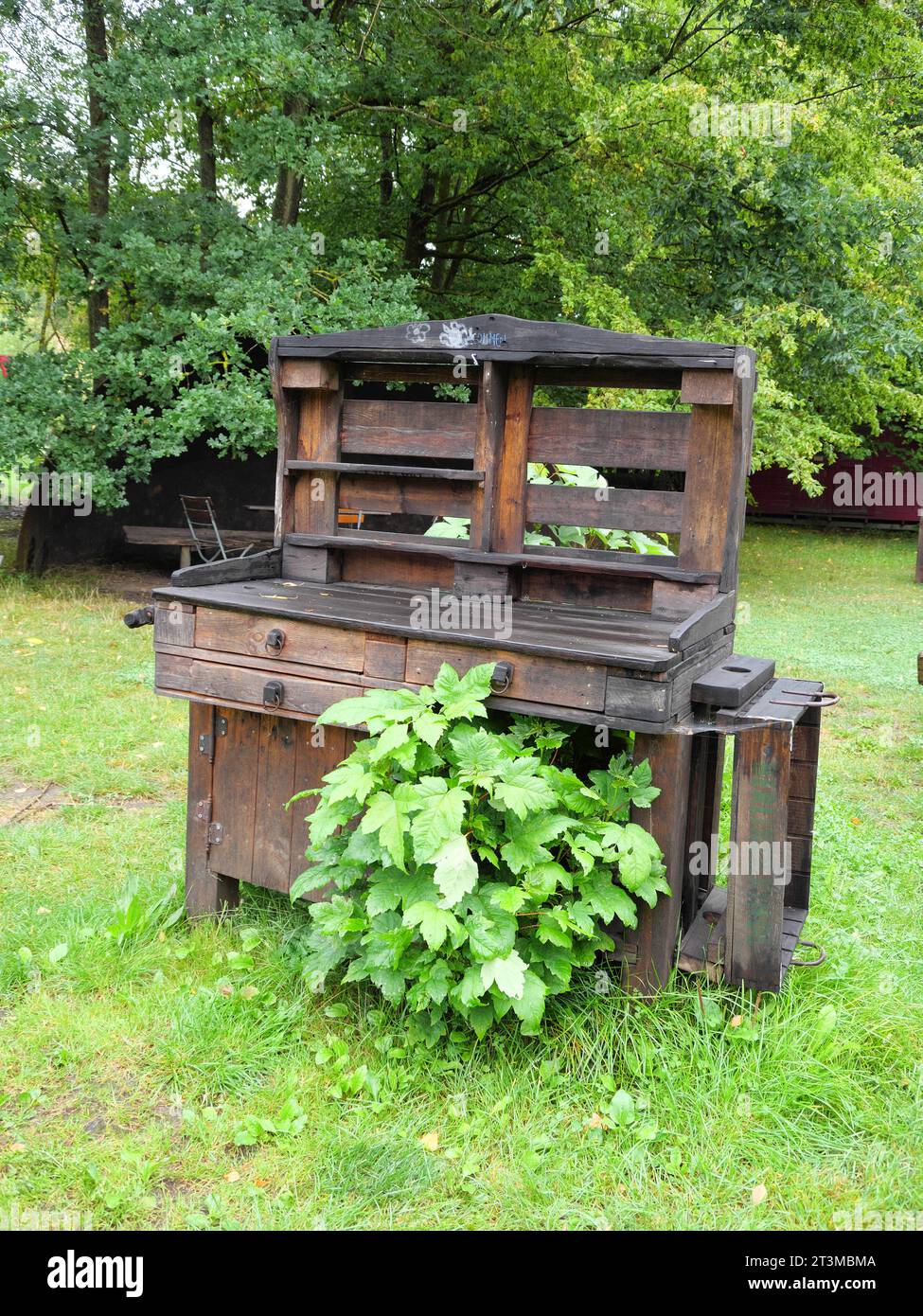Table de plantation assemblée à partir de vieilles palettes dans la pépinière du château de Wiligrad Lübstorf en Allemagne Banque D'Images