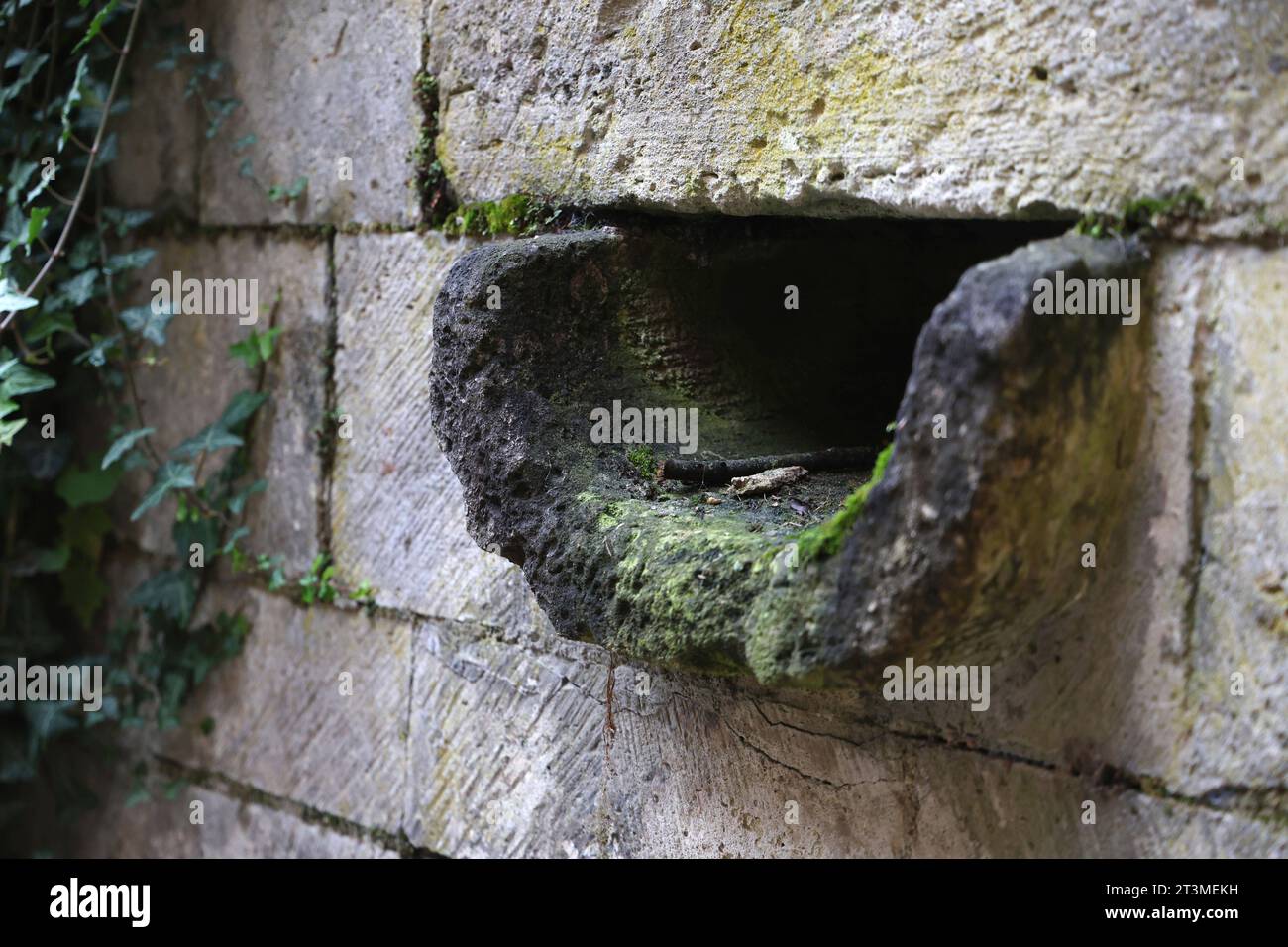 Schulpforte 22.10.2023, Naumburg OT Schulpforte, Klosteranlage - steinerne Dachrinne *** Schulpforte 22 10 2023, Naumburg OT Schulpforte, monastère complexe en pierre gouttière crédit : Imago/Alamy Live News Banque D'Images