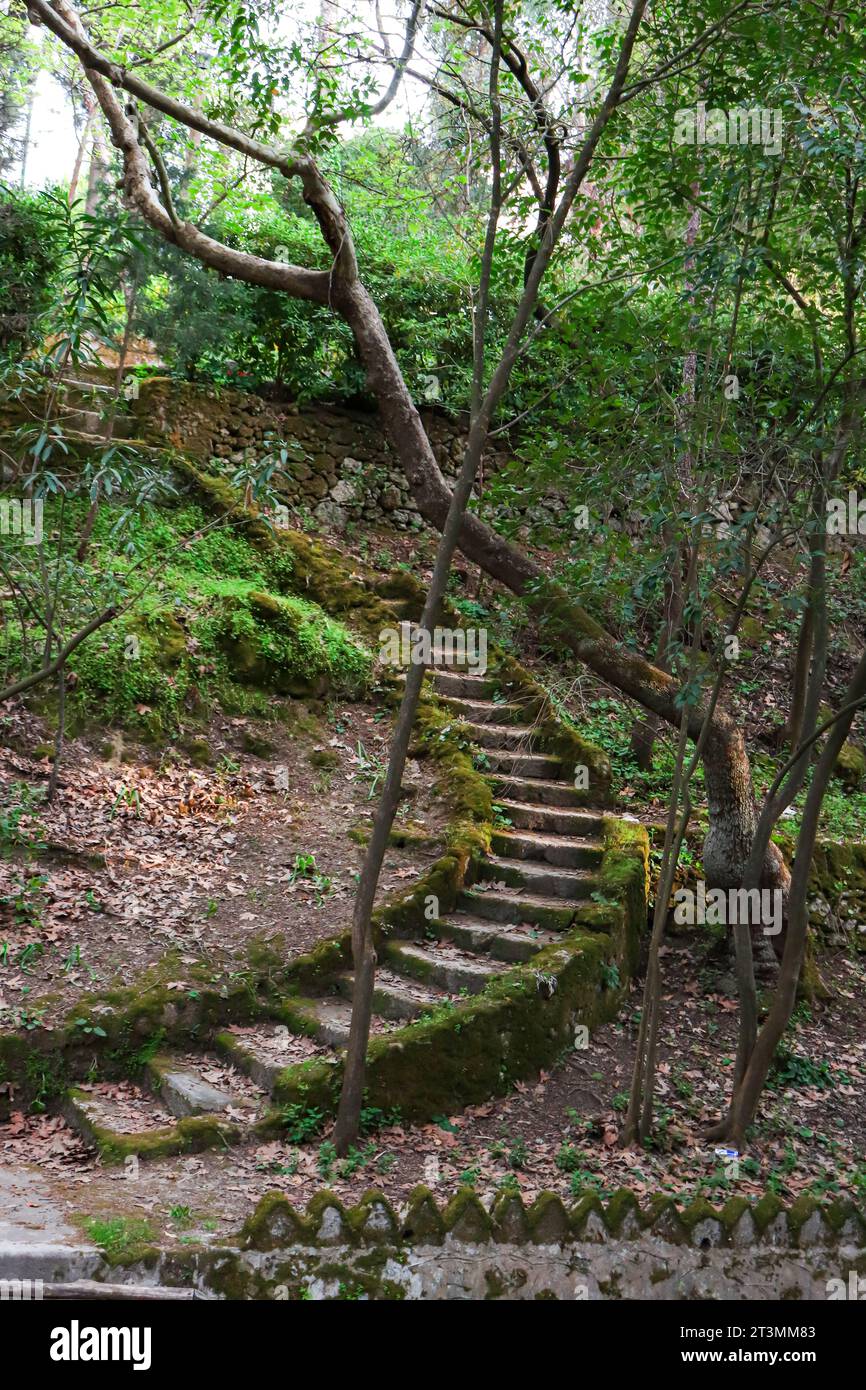 Escalier en colimaçon dans le jardin de forêt de verdure enchanté, Rodini Park, Rhodes, Grèce Banque D'Images