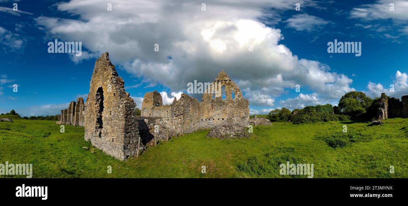 Abbaye d'Athassel Golden ; Comté de Tipperary, Irlande Banque D'Images