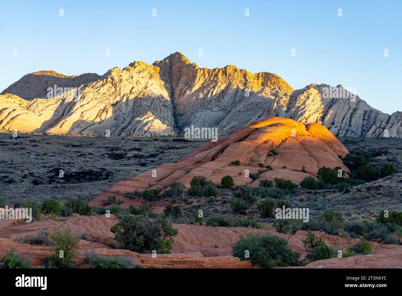 Vues des formations de grès navajo appelées White Rocks depuis la piste Petrified Dunes Trail dans le parc d'État de Snow Canyon dans l'Utah. Banque D'Images
