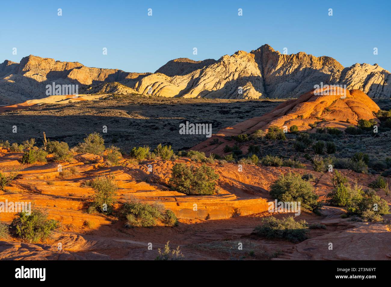 Vues des formations de grès navajo appelées White Rocks depuis la piste Petrified Dunes Trail dans le parc d'État de Snow Canyon dans l'Utah. Banque D'Images