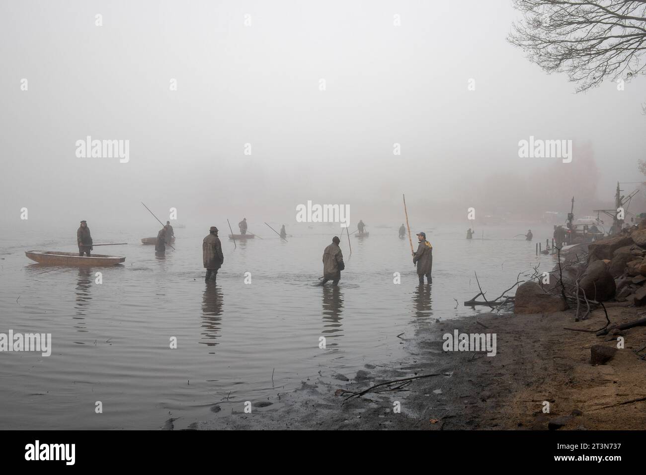 étang de pêche, pêcheurs sur punt, pêche d'automne, capture d'automne de l'étang, automne, étang drainé, pêcheur à patauger Banque D'Images